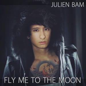 Fly Me to the Moon - Julien Bam