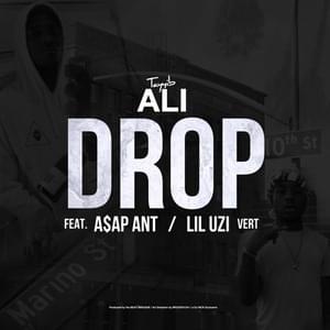 Drop (Remix) - Tayyib Ali (Ft. A$AP ANT & Lil Uzi Vert)