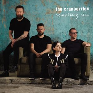 Animal Instinct (Acoustic Version) - The Cranberries