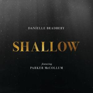 Shallow - Danielle Bradbery (Ft. Parker McCollum)