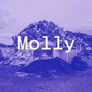 Molly - PRO8L3M