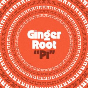 Pi - Ginger Root