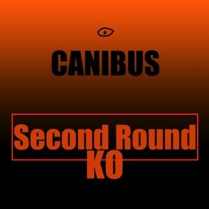 “Second Round KO” (Canibus cover) - Alex Dionisio