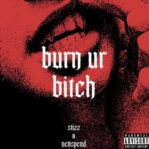 Burn ur bitch (feat. Nettspend) - Stizz (Ft. Nettspend)