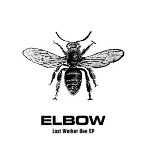 Lost Worker Bee - Elbow