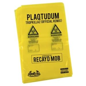 Plaqtudum (Tropkillaz Remix) - Recayd Mob & Tropkillaz (Ft. Derek, Dfideliz & JÉ)