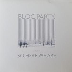 Helicopter (Whitey Remix) - Bloc Party