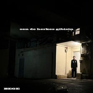 ​sen de herkes gibisin - BEGE