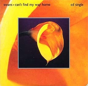 Can’t Find My Way Home - Swans