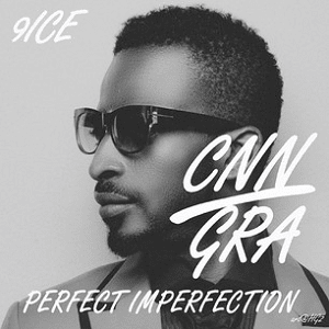 Perfect Imperfection - 9ice