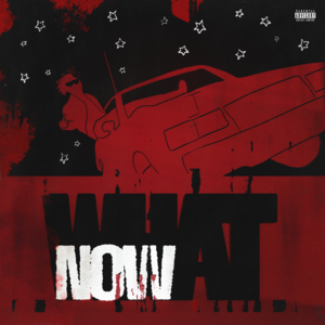 WHAT NOW? - DC The Don