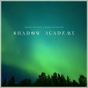 Shine on You Crazy Diamond - Shadow Academy