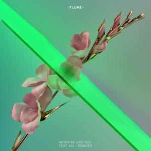 Never Be Like You (Wave Racer Remix) - Flume (Ft. ​kai)