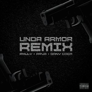 Unda Armor (Remix) - Amuly & RAVA (Ft. Dany Cocă)