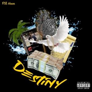 Destiny - FCG Heem