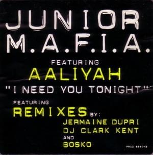 I Need You Tonight (Bosko’s Remix) - Junior M.A.F.I.A.