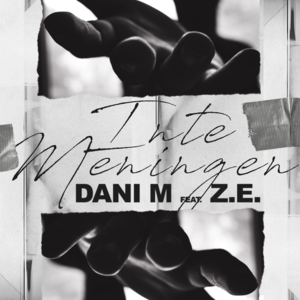 Inte meningen - Dani M (Ft. Z.E)