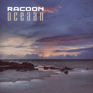 Oceaan - Racoon