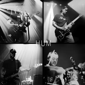 Afternoon With Th Axolotls - Hum