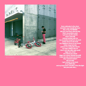 Biking (Blonded.co Version) - Frank Ocean (Ft. Tyler, The Creator)