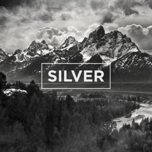 Silver - The Neighbourhood