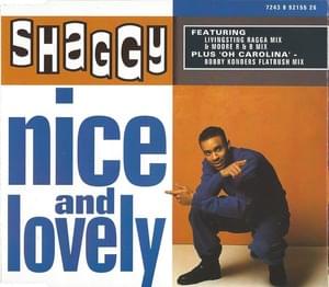 Nice and Lovely - Shaggy (Ft. Rayvon)