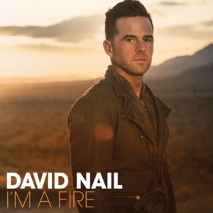 Galveston - David Nail (Ft. Lee Ann Womack)