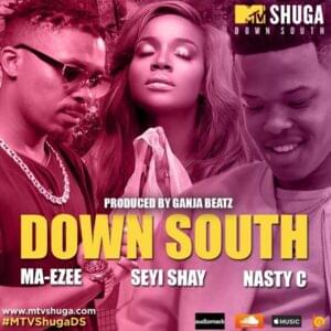 Down South (MTV Shuga Soundtrack) - Nasty C (Ft. Ma-E (Teargas) & Seyi Shay)