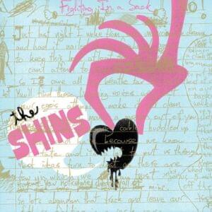 Fighting in a Sack - The Shins