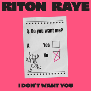 I Don’t Want You - Riton & RAYE