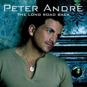 Never Gonna Give You Up - Peter Andre