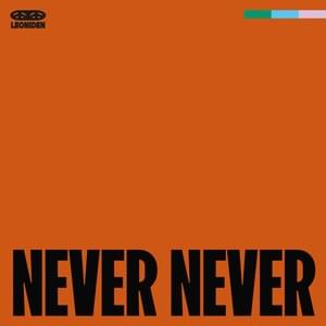 Never Never - Leoniden