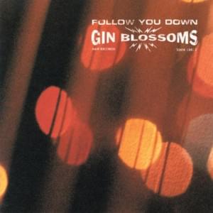 Seeing Stars - Gin Blossoms