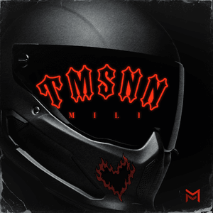 TMSNN - Mili