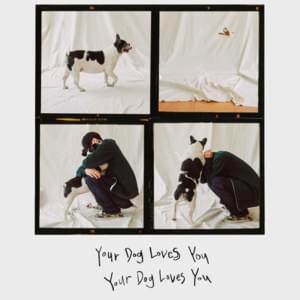 Colde  - Your Dog Loves You ft. Crush (English Translation) - Lyrxo English Translations