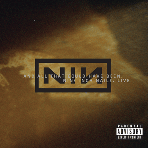 Head Like a Hole (Live) - Nine Inch Nails