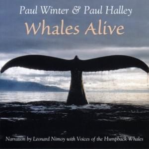 Ocean Dream (Whales Alive version) - Paul Winter