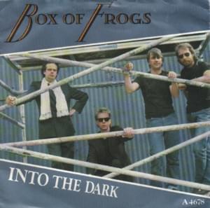 Into the Dark - Box Of Frogs