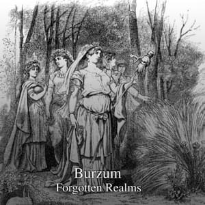 A Forgotten Realm - Burzum