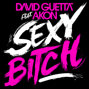 Sexy Bitch - David Guetta (Ft. Akon)