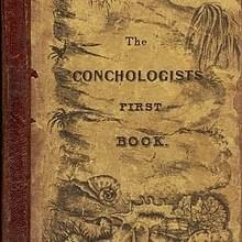 Introduction to the First Edition of The Conchologist’s First Book - Edgar Allan Poe