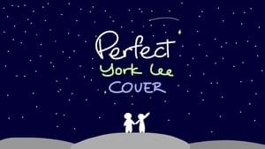 Perfect - York Lee