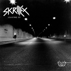 The Reason - Skrillex