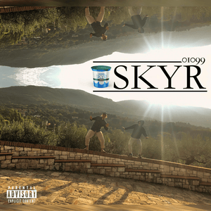 Skyr - 01099