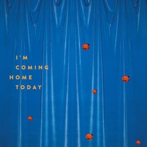 I’m Coming Home Today - The Dig (Rock)