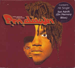 Reality Used To Be A Friend Of Mine - P.M. Dawn