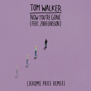 Now You’re Gone (Jerome Price Remix) - Tom Walker (Ft. Zara Larsson)