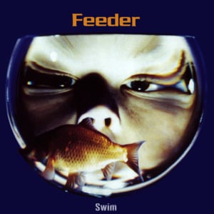 Sweet 16 - Feeder