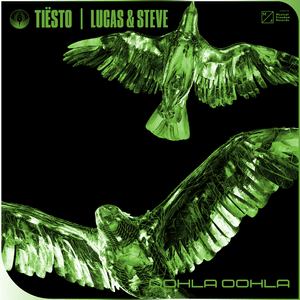 Oohla Oohla - Tiësto & Lucas & Steve