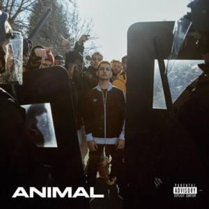 Animal - Nayt